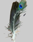 Hat Feathers