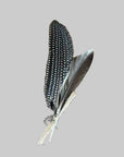 Hat Feathers