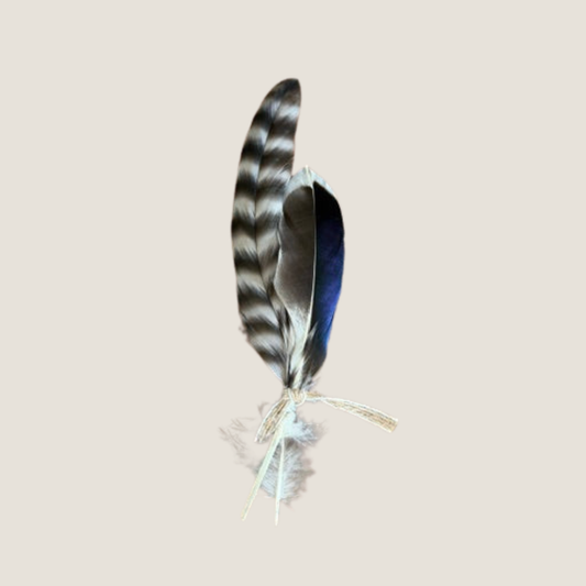 Hat Feathers
