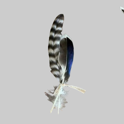Hat Feathers