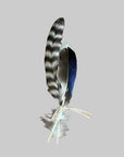 Hat Feathers