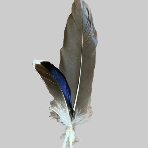Hat Feathers
