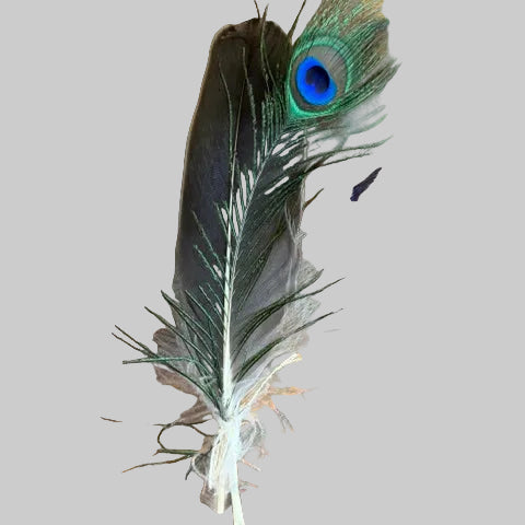 Hat Feathers