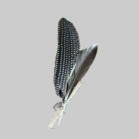 Hat Feathers