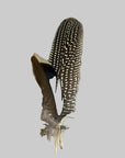 Hat Feathers